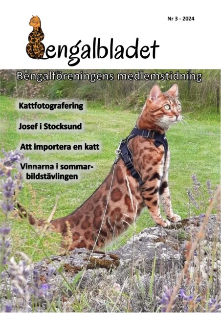 Bengalbladet 2024 3 Version A Framsidan